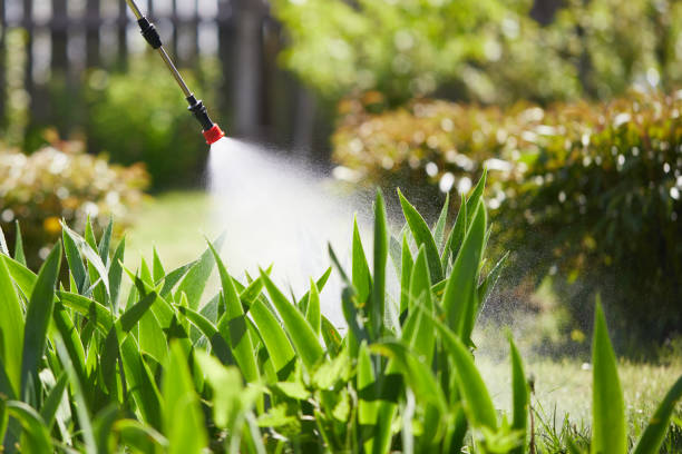 24/7 Emergency Mosquito Control experts in Glen Ridge, NJ