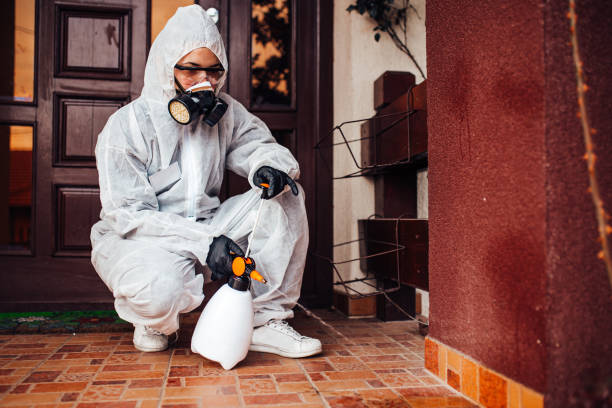 Reliable Mosquito Control contractor in Glen Ridge, NJ by Show Me Pest Control